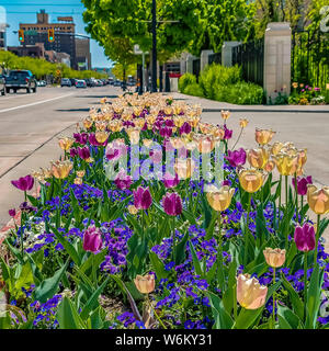 Platz schöne Blumen auf einer Pflanzung Bett in der Mitte der Straße und Gebäude Stockfoto
