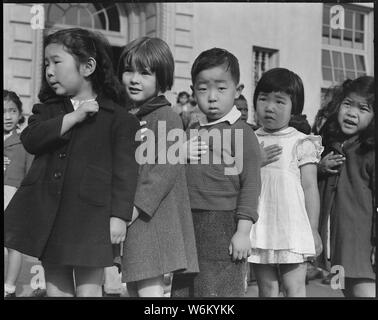 San Francisco, Kalifornien. Viele Kinder der japanischen Vorfahren besucht Raphael Weill Public School. . .; Umfang und Inhalt: Der vollständige Titel für dieses Foto lautet: San Francisco, Kalifornien. Viele Kinder der japanischen Vorfahren besucht Raphael Weill öffentliche Schule, Geary und Buchanan Straßen, vor der Evakuierung. Diese Szene zeigt Erstlingssortierer während Flagge versprechen Zeremonie. Umsiedler von japanischen Vorfahren wird in War Relocation Authority untergebracht werden Zentren für die Dauer. Bestimmung wird für die Fortsetzung der Ausbildung erfolgen. Stockfoto