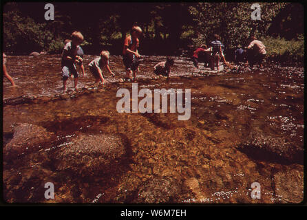 Der DENVER P.T.A. Förderte eine EINWÖCHIGE SUMMER WORKSHOP AN DEN SCHULEN EINZUFÜHREN, UM DIE NATÜRLICHE UMWELT. Hier Jugendliche lernen, einen Staudamm bauen in Boulder Creek Stockfoto