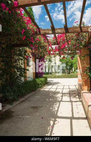 Jardines del Real, Jardin de Viveros - öffentlichen Park in Valencia, Spanien. Sommer Urlaub. An einem sonnigen Tag gefangen. Stockfoto