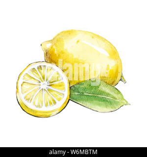 Zitrone aquarell Bild auf weißem Hintergrund Stockfoto