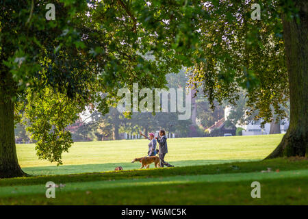 Northampton GROSSBRITANNIEN. 2. August 2019. Wetter. Einen warmen, sonnigen Morgen für diese paar Frauen ihre Hunde in Abington Park, lange Schatten durch die niedrige Sonne verursacht, Kredit: Keith J Smith./Alamy leben Nachrichten Stockfoto