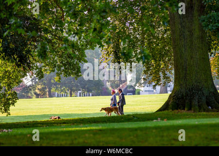 Northampton GROSSBRITANNIEN. 2. August 2019. Wetter. Einen warmen, sonnigen Morgen für diese paar Frauen ihre Hunde in Abington Park, lange Schatten durch die niedrige Sonne verursacht, Kredit: Keith J Smith./Alamy leben Nachrichten Stockfoto