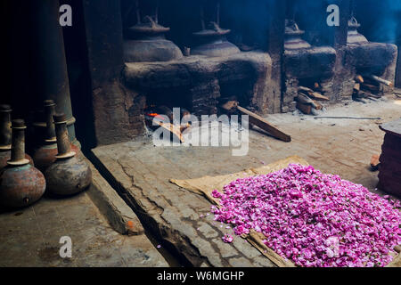 Indien, Uttar Pradesh, die Stadt des Parfums, wo Rosen für die Parfümindustrie destilliert werden Stockfoto