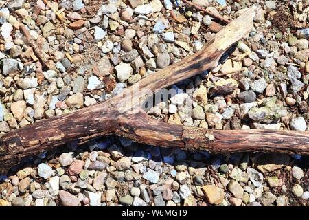 Detailansicht auf waldboden Texturen mit Ästen und Blättern Stockfoto