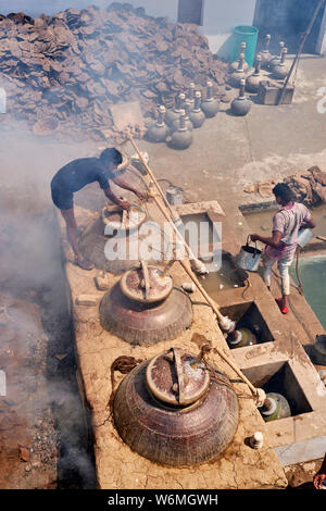 Indien, Uttar Pradesh, die Stadt des Parfums, wo Rosen für die Parfümindustrie destilliert werden Stockfoto