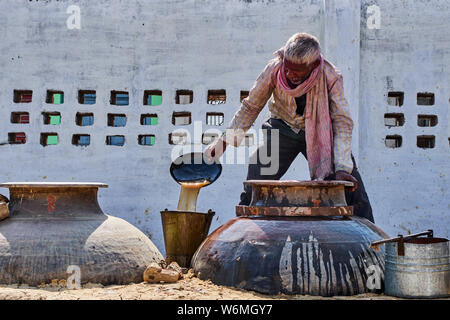 Indien, Uttar Pradesh, die Stadt des Parfums, wo Rosen für die Parfümindustrie destilliert werden Stockfoto