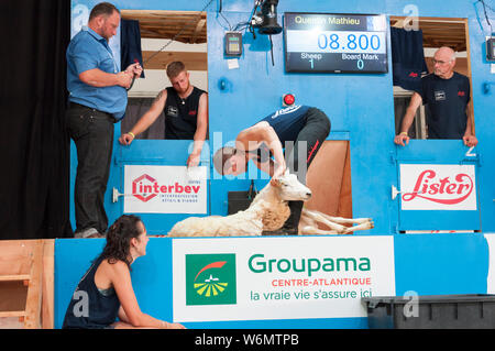 Messer Scheren bei der WM in Frankreich 2019 Stockfoto