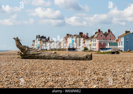Große Treibholz Baumstamm vor der Küste Häuser auf Aldeburgh Kieselstrand, Suffolk, England Stockfoto
