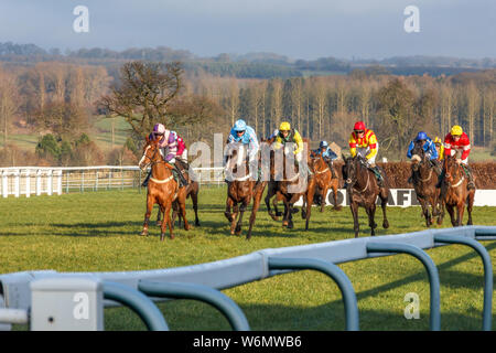 Pferderennen über Hürden in Towcester Rennen, Northamptonshire England Stockfoto