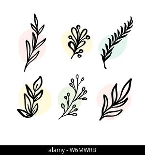 Vektor-Set botanische Elemente - Wildblumen, Kräuter. Sammlung Garten und wildes Laub, Blumen, Zweige. Illustration isoliert Pflanzen auf weiß Stock Vektor