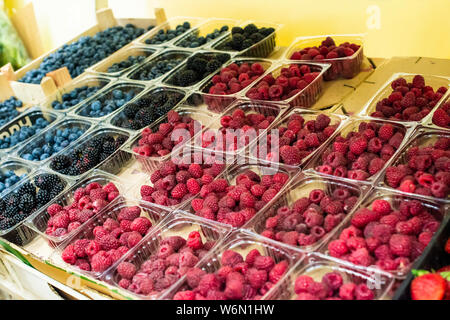 Himbeeren und Blaubeeren auf dem Regal im Markt. Sortiert Früchte in durchsichtigen Kunststoffbehältern. Stockfoto