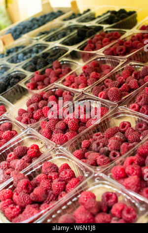 Himbeeren und Blaubeeren auf dem Regal im Markt. Sortiert Früchte in durchsichtigen Kunststoffbehältern. Stockfoto