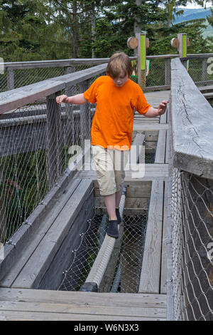 Jungen, die versuchen, eine Erfahrung von der tree top walk, Neuschönau, Nationalpark Bayerischer Wald, Bayern, Deutschland Stockfoto