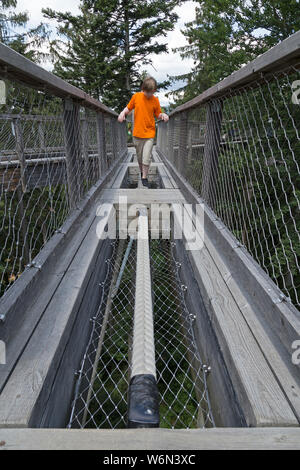 Jungen, die versuchen, eine Erfahrung von der tree top walk, Neuschönau, Nationalpark Bayerischer Wald, Bayern, Deutschland Stockfoto