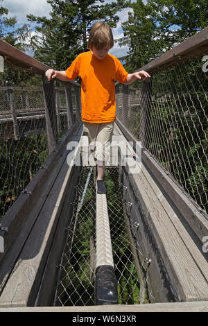 Jungen, die versuchen, eine Erfahrung von der tree top walk, Neuschönau, Nationalpark Bayerischer Wald, Bayern, Deutschland Stockfoto