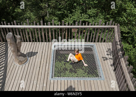 Jungen, die versuchen, eine Erfahrung von der tree top walk, Neuschönau, Nationalpark Bayerischer Wald, Bayern, Deutschland Stockfoto