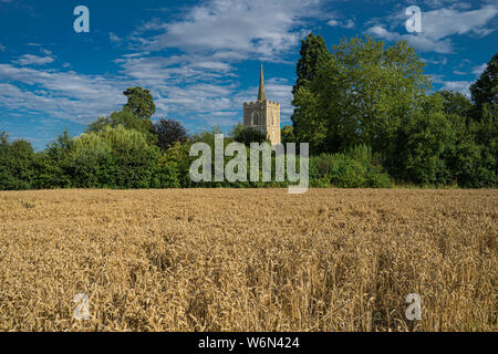 Lanscape Foto von Kirchturm, die durch die Bäume in der Ferne mit Weizen Feld nach vorne Stockfoto