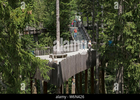 Tree Top Walk, Neuschönau, Nationalpark Bayerischer Wald, Bayern, Deutschland Stockfoto