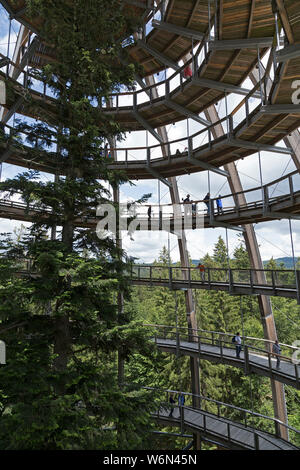 Look-out, Tree Top Walk, Neuschönau, Nationalpark Bayerischer Wald, Bayern, Deutschland Stockfoto