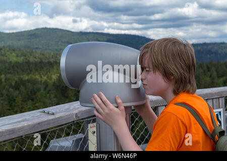 Junge durch Teleskop suchen, Look-out, Tree Top Walk, Neuschönau, Nationalpark Bayerischer Wald, Bayern, Deutschland Stockfoto