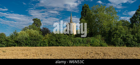 Lanscape Foto von Kirchturm, die durch die Bäume in der Ferne mit Weizen Feld nach vorne Stockfoto