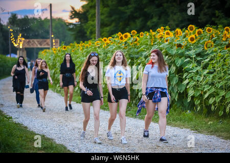 Brezje, Kroatien - 20 Juli, 2019: Junge Mädchen zu Fuß durch das Feld mit Sonnenblumen auf den Eingang der Waldflächen, ultimative Wald elektronische mus Stockfoto