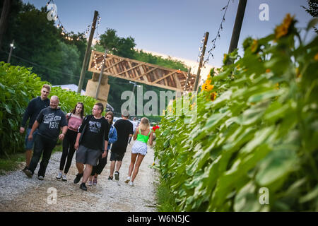 Brezje, Kroatien - 20. Juli 2019: Menschen zu Fuß durch das Feld mit Sonnenblumen auf den Eingang der Waldflächen, ultimative Wald elektronische Musik fe Stockfoto