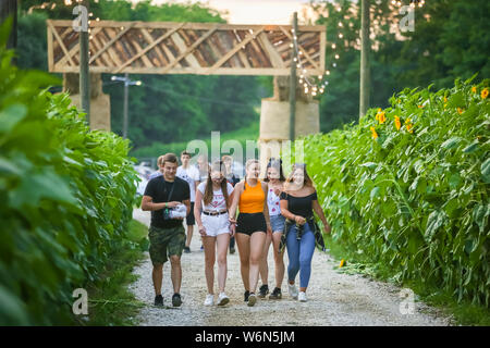 Brezje, Kroatien - 20. Juli 2019: Menschen zu Fuß durch das Feld mit Sonnenblumen auf den Eingang der Waldflächen, ultimative Wald elektronische Musik fe Stockfoto