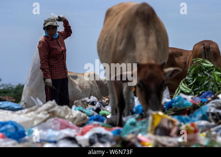 Lhokseumawe, Indonesien. 01 Aug, 2019. Eine Art Schnitzeljagd nimmt verwendete Kunststoff auf einer Deponie in Lhokseumawe, Aceh. Daten aus dem Worldwide Fund for Nature (WWF), die etwa 300 Millionen Tonnen Kunststoff jedes Jahr produziert werden, von denen die meisten am Ende in Deponien und das Meer, das Meer. In der Tat, das hat eine internationale Krise geworden, die auch heute noch wachsen. Credit: SOPA Images Limited/Alamy leben Nachrichten Stockfoto