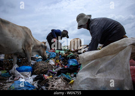 Lhokseumawe, Indonesien. 01 Aug, 2019. Radikalfänger Abholung verwendete Kunststoff auf einer Deponie in Lhokseumawe, Aceh. Daten aus dem Worldwide Fund for Nature (WWF), die etwa 300 Millionen Tonnen Kunststoff jedes Jahr produziert werden, von denen die meisten am Ende in Deponien und das Meer, das Meer. In der Tat, das hat eine internationale Krise geworden, die auch heute noch wachsen. Credit: SOPA Images Limited/Alamy leben Nachrichten Stockfoto