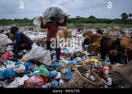 Lhokseumawe, Indonesien. 01 Aug, 2019. Eine Art Schnitzeljagd führt Kunststoffe Müll bei einer Deponie in Lhokseumawe, Aceh gesammelt. Daten aus dem Worldwide Fund for Nature (WWF), die etwa 300 Millionen Tonnen Kunststoff jedes Jahr produziert werden, von denen die meisten am Ende in Deponien und das Meer, das Meer. In der Tat, das hat eine internationale Krise geworden, die auch heute noch wachsen. Credit: SOPA Images Limited/Alamy leben Nachrichten Stockfoto