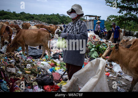 Lhokseumawe, Indonesien. 01 Aug, 2019. Radikalfänger Abholung verwendete Kunststoff auf einer Deponie in Lhokseumawe, Aceh, Indonesien. Daten aus dem Worldwide Fund for Nature (WWF), die etwa 300 Millionen Tonnen Kunststoff jedes Jahr produziert werden, von denen die meisten am Ende in Deponien und das Meer, das Meer. In der Tat, das hat eine internationale Krise geworden, die auch heute noch wachsen. Credit: SOPA Images Limited/Alamy leben Nachrichten Stockfoto