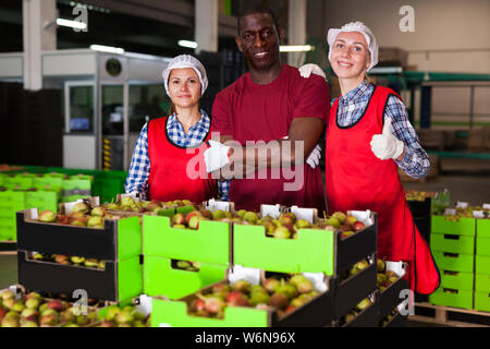 Junge weibliche und männliche Arbeitnehmer von Obst Lager stehen in der Nähe der Boxen mit reife Birnen Stockfoto