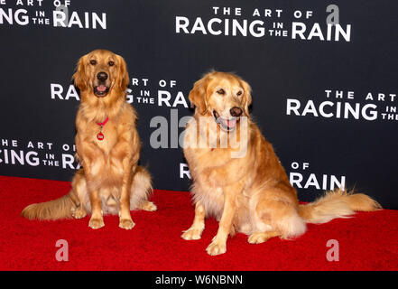 Los Angeles, CA - August 01, 2019: Parker und Butler die Premiere von "Die Kunst des Laufens in der Regen" am El Capitan Theatre statt Stockfoto