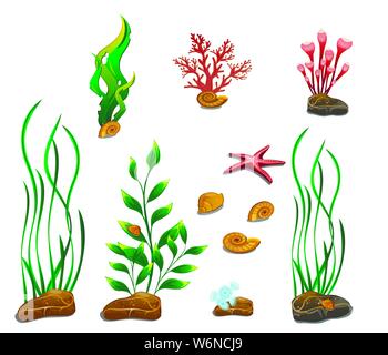 Pflanzen, Steine und Schnecken aus dem Meeresgrund. Auf weiße Objekte voneinander isoliert. Unterwasserwelt Stock Vektor