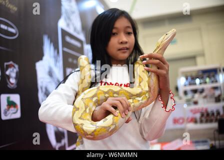 Tangerang, Indonesien. 2 Aug, 2019. Eine junge Frau hält eine Schlange in der Indonesien International Pet Expo 2019 in Tangerang, Provinz Banten, Indonesien, Aug 2, 2019. Die Ausstellung ist vom 2. bis 4. August statt und erwartet über 45.000 Besucher zu zeichnen. Credit: Zulkarnain/Xinhua/Alamy leben Nachrichten Stockfoto