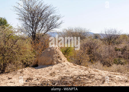 Große Termite Damm in der Kalahari Wüste Stockfoto