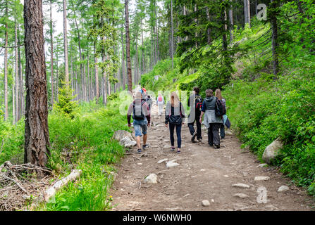 Touristen auf Wanderwegen in der Hohen Tatra, Slowakei. Stockfoto