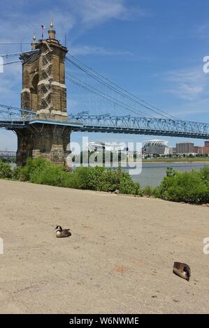 CINCINNATI, OH-13 Jul 2019 - Blick auf die blaue John A. Roebling Suspension Bridge anschließen von Cincinnati, Ohio nach Covington, Kentucky. Stockfoto