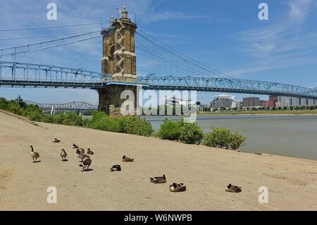 CINCINNATI, OH-13 Jul 2019 - Blick auf die blaue John A. Roebling Suspension Bridge anschließen von Cincinnati, Ohio nach Covington, Kentucky. Stockfoto