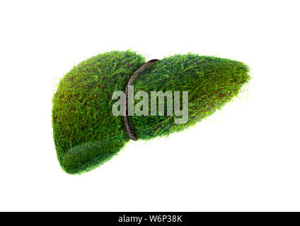 Realistische Leber Bilder sind menschliche Grüner Baum Formen über Krankheiten und Zirrhose (Umwelt). Stockfoto