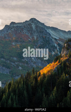 Farben des Herbstes auf den Pisten rund um den Mt. Rainier Stockfoto