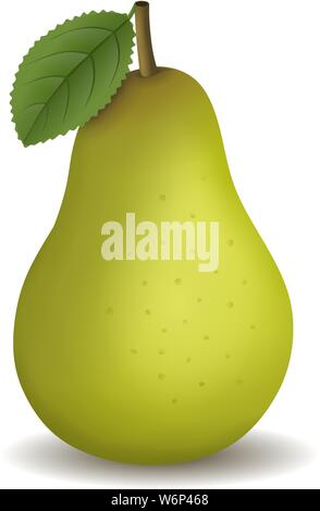 Grüne Weintraube. Grüne Trauben cluster Abbildung Stock Vektor