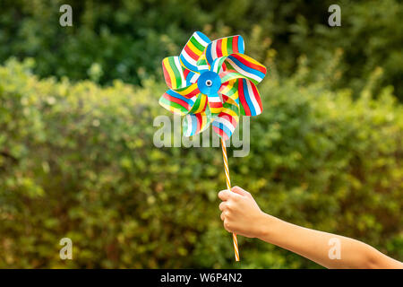 Kind halten bunte Windrad mit einem Bäume im Hintergrund Stockfoto