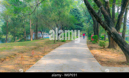 Am frühen Abend im Stadtpark, helles Sonnenlicht und Schatten, Sommer, schöne Landschaft. Central Park am späten Vormittag Kolkata. Kontrast von dunklen tr Stockfoto