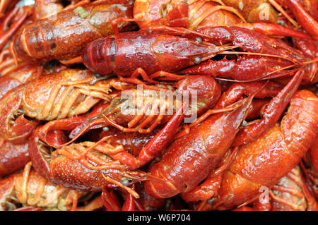 Closeup gekochte Meerestier für Hintergrund verwendet Stockfoto