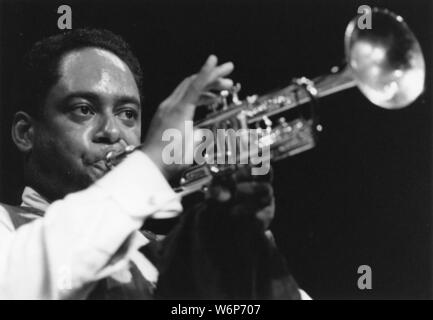 Jon Faddis, amerikanischer Jazztrompeter, c 1981. Stockfoto