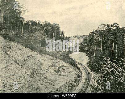 "In den Blackall Ranges', 1901. Die ersten europäischen Entdecker in die blackall Range wurde Ludwig Leichhardt, der Bereich nach Samuel Blackall, zweiter Gouverneur von Queensland genannt wurde. Ressourcen in der Umgebung angezogen Holz - Schneider in 1860. Von "Federated Australien". [Die Werner Company, London, 1901] Stockfoto