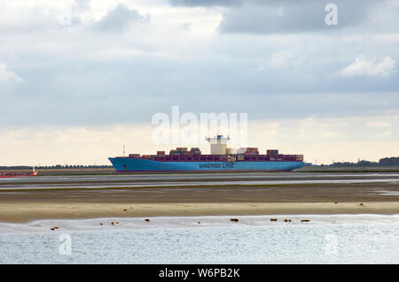 Ebbe mit Dichtungen ruht auf sandbänken an der Wester Schelde, während ein Container Schiff fährt über die Westerschelde auf dem Weg in die Antwerpener Hafen, Stockfoto